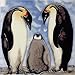 Produktbild Continental Art Center bd-2353 Art Tile 20,3 x 20,3 cm Art Tile-King Pinguin Familie