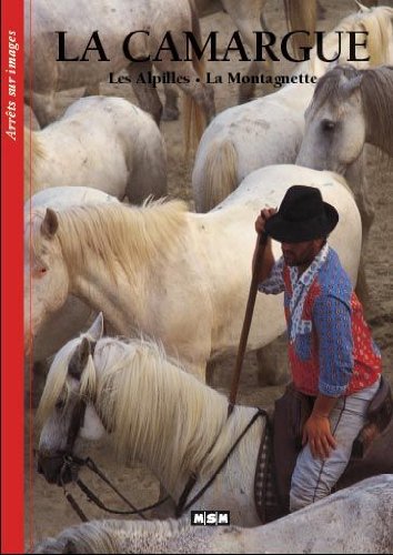 couverture de : Les Cisterciens