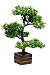 Hyperboles Artificial Bonsai Tree with Wooden Pot(16 Inches) RS.499.00