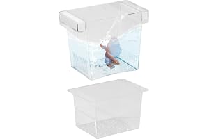 Yngelbox För Akvarium | Flytande Yngelbox - Matningsbehållare Barnkammardelare För Yngel Guppy Betta Skräddarfisk Räkor