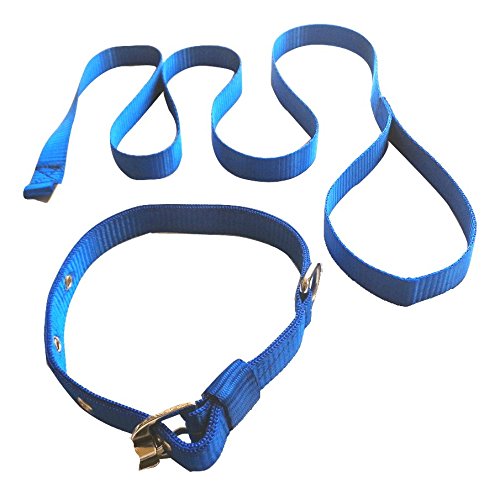 Suraj Chain Smart Doggie Premium Nylon Lead Leash With Collar For Small Dog - 0.75 Inch