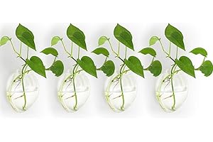 NUPTIO 4 Pièces Murales Suspendues Planteurs de Verre Pot - Eau Plantation Vases Air Fleur Vase Plante Terrariums Conteneur de Plantes