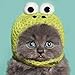 Produktbild tierschutzorganisation RSPCA Geburtstagskarte blanko "Katze in Frosch hat" 15,9 x 15,9 cm Q07 40505