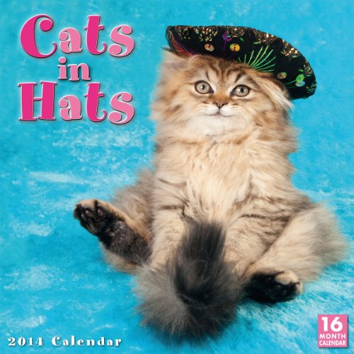 Download Cats in Hats 2014 Wall (Calendar 2014) Download Cats in Hats 2014 Wall (Calendar 2014)