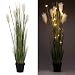 Produktbild Künstliche Pflanze Pampasgras inkl. LED-Beleuchtung und Timer - Outdoor geeignet - Kunstblumen Gras
