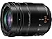 Price comparison product image PANASONIC LUMIX G LEICA DG VARIO-ELMARIT PROFESSIONAL LENS, 12-60MM, F2.8-4.0 ASPH, MIRRORLESS MICRO FOUR THIRDS, POWER O.I.S, H-ES12060 (USA BLACK)