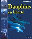 Dauphins en liberté
