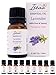 Produktbild 100% reines Ätherisches Lavendel Öl Therapeutische Grad Duftöl Lavendelöl für Aromatherapie, Massage, Wellness, Aroma Diffuser, Duftlampe 10 ml