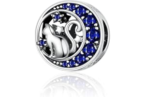 XWN Charms Beads 925 Sterling Silver for Pandora Bracelet, Dangle Pendant Charms for Necklace and Bracelet Jewelry Gifts for Women.DP1