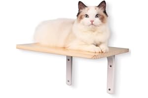DaizySight Estantes de Pared para Gatos, Cama, Muebles montados en la Pared para Dormir, Jugar, Escalar y Descansar, Capacidad para hasta 14kg, para Gato Adulto