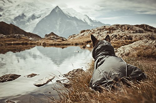 Hurtta-Ultimate-Warmer-Dog-Coat-Raspberry-30cm