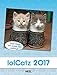 lolCatz 2017 by