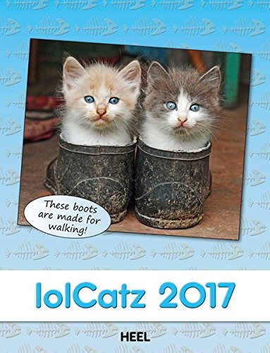 lolCatz 2017