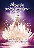 Begegnung mit PflanzenSpirits (mit Kartenset) by 