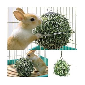 TONOSEVILLA – ESFERA PARA HENO HAMSTER CONEJOS