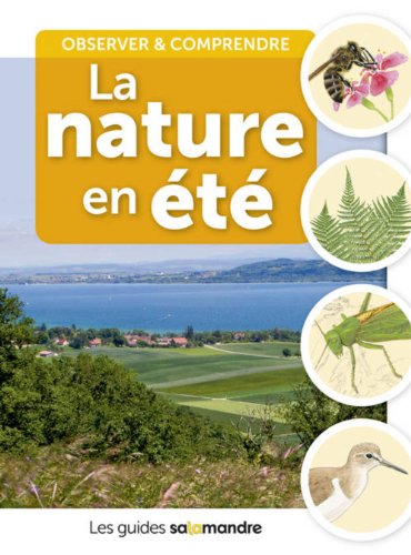 La  nature en été