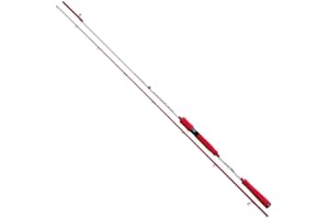 agc Nomura Canna Pesca Eging SW Kanji 240 Seppia cefalopodi