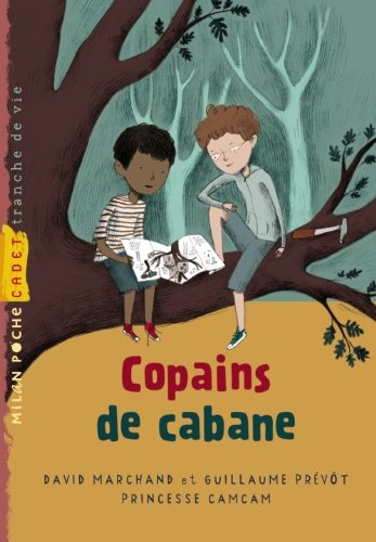 couverture de : Copains de cabane