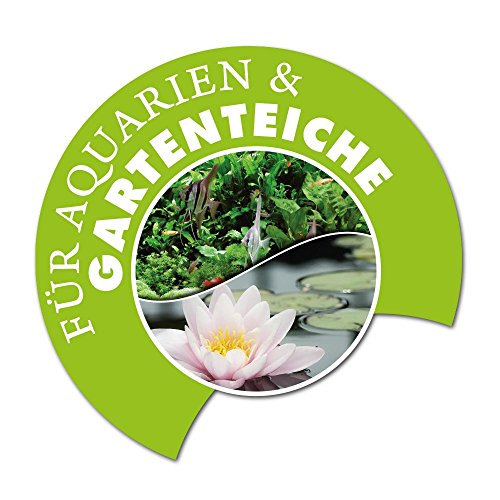 AQUALITY Pumpenreiniger & Entkalker 1.000 ml (Für Aquarien- und Gartenteichpumpen – Entfernt schnell und einfach störende Kalkablagerungen – Erhöht die Lebensdauer der Pumpen) - 2