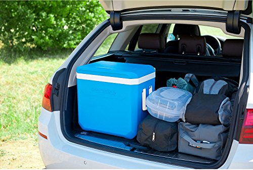 Campingaz Kühlbox Passiv Icetime Plus 42 L, 2000024968 - 6