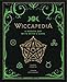 Wiccapedia: A Modern-Day White Witch's Guide (Modern-Day Witch) by Shawn Robbins, Leanna Greenaway