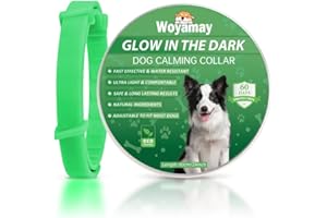 Woyamay Collier Calmant pour Chien, Collier Lumineux Chien Réduit Le Anti-Anxiété et Stress, Taille Réglable Collier Apaisant pour Chiens, Naturel Calmant pour Colier Chien Vert