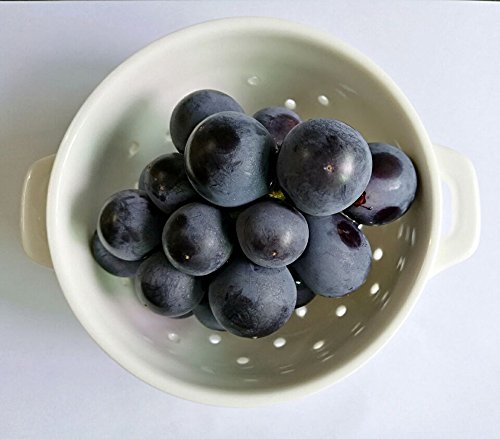 YoHom Seiher Klein Keramik Porzellan Colander Küche Sieb Schüssel für Gemüse Obst Küche Werkzeug, klein, weiß