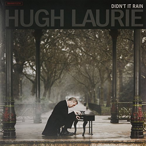 Preisvergleich Produktbild Didn'T It Rain [Vinyl LP]