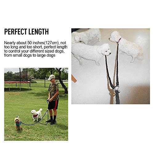 Double-dog-leash