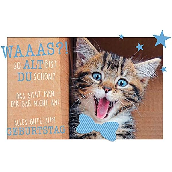 Alles Gute Zum Geburtstag Katze Lustig Alles Gute Zum Geburtstag Meme Katze Lustig