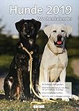 Wochenkalender Hunde 2019 by