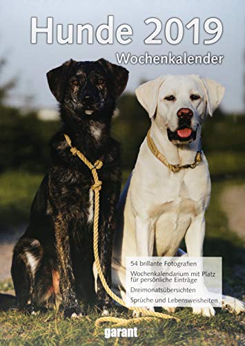 Wochenkalender Hunde 2019
