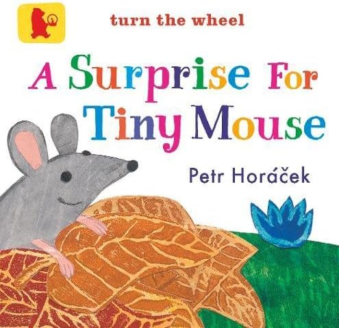A Surprise for Tiny Mouse (Baby Walker)