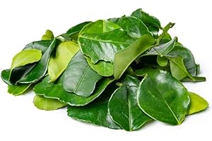 KOALAKOI Kaffir lime leaves fresh 100g