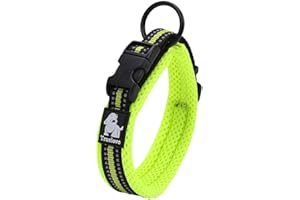 Truelove Dog Training Collar TLC5011 Reflective Premium Buckle Nylon Webbing Pet Dog Collars,High Grade Nylon Webbing No Choke Basic Collars Now Available (M, Neon Yellow)