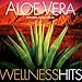 Produktbild Aloe Vera Wellness Hits by Various Artists (2003-07-21)