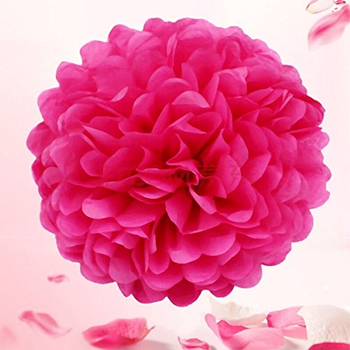 ZeWoo Set von 15 Stück Seidenpapier PomPoms 6” 8” 10” Geburtstagen Hochzeit Party Deko Papierblumen - 5