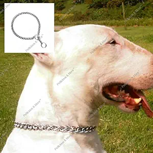 PnM Chrome Plated Dog Choke Chain Dog Collar Chain Choke Chain Training Collar Training Chain - 22 Inch Collar / 1 cm Thick