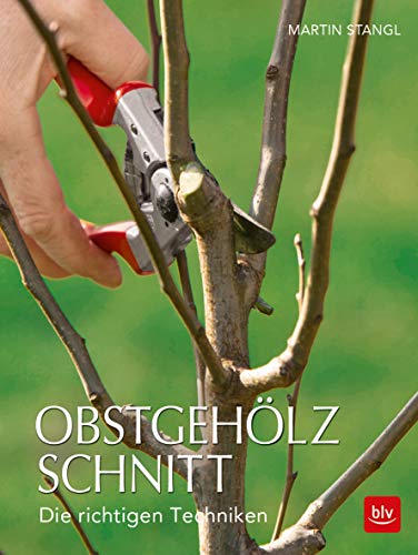 Preisvergleich Produktbild Obstgehölzschnitt: Die richtigen Techniken (BLV)