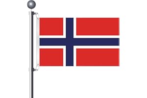 BIGTREE 3x5 Ft (90 X 150cm) Norwegian Flag Large Flag of Norway with 2 Brass Grommets Norwegian National Flags Party Festival Procession Celebration Sport Activities Garden Home Indoor Outdoor Decoration