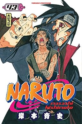 Kana Naruto Vol.43