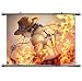 Produktbild Wallscrolls-Wonderland One Piece FIRE FIST ACE Poster Whitebeard Wallscroll Wallposter Stoffposter 60x45cm