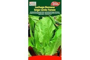 Eurogarden - Semillas Hortícolas.Lechuga Romana Larga Verde - Teresa