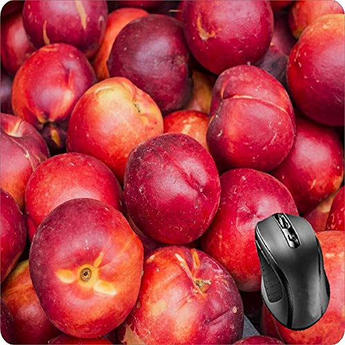 Preisvergleich Produktbild BGLKCS