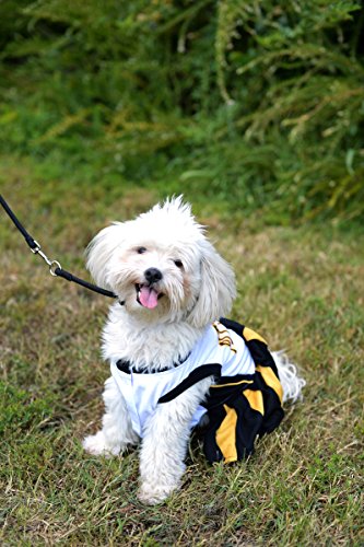 Mirage-NFL-Pittsburgh-Steelers-Dog-Cheerleader-Dress