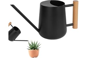 OFFCUP Edelstahlgießkanne, 1 l, kleine Gießkanne für Pflanzen, Zimmerpflanzen, mit langem Ausgießer, für Haus, Bonsai(schwarz)