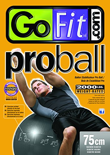 GoFit Professioneller Gymnastikball - Silber, 75 cm