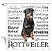 Produktbild HANYULIAN maßgeschneiderte Rottie Traits - dekorative Stoff Duschvorhang 3D-Effekt umweltfreundliche Badezimmer Dekoration Badezimmer 120x180cm