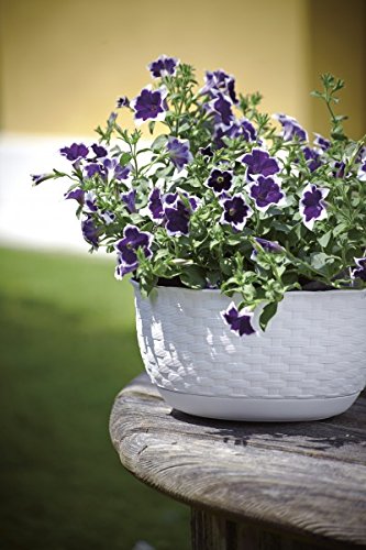 Blumenschale zum Aufhängen im Rattan Design mit Bewässerungssystem, Durchmesser 30 cm, Höhe 14,5 cm, Farbe weiß - 3