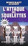 Image de Minecraft Academy - L'attaque des squelettes